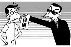 昭平为什么选择专业追讨公司来处理您的债务纠纷？